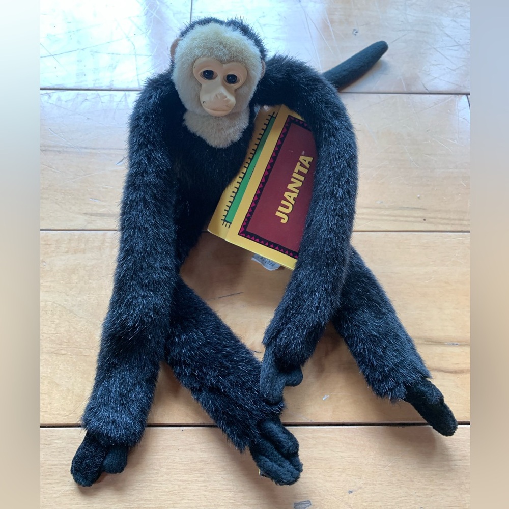 WILD REPUBLIC| Hugging Stuffed Capuchin Monkey | Juanita